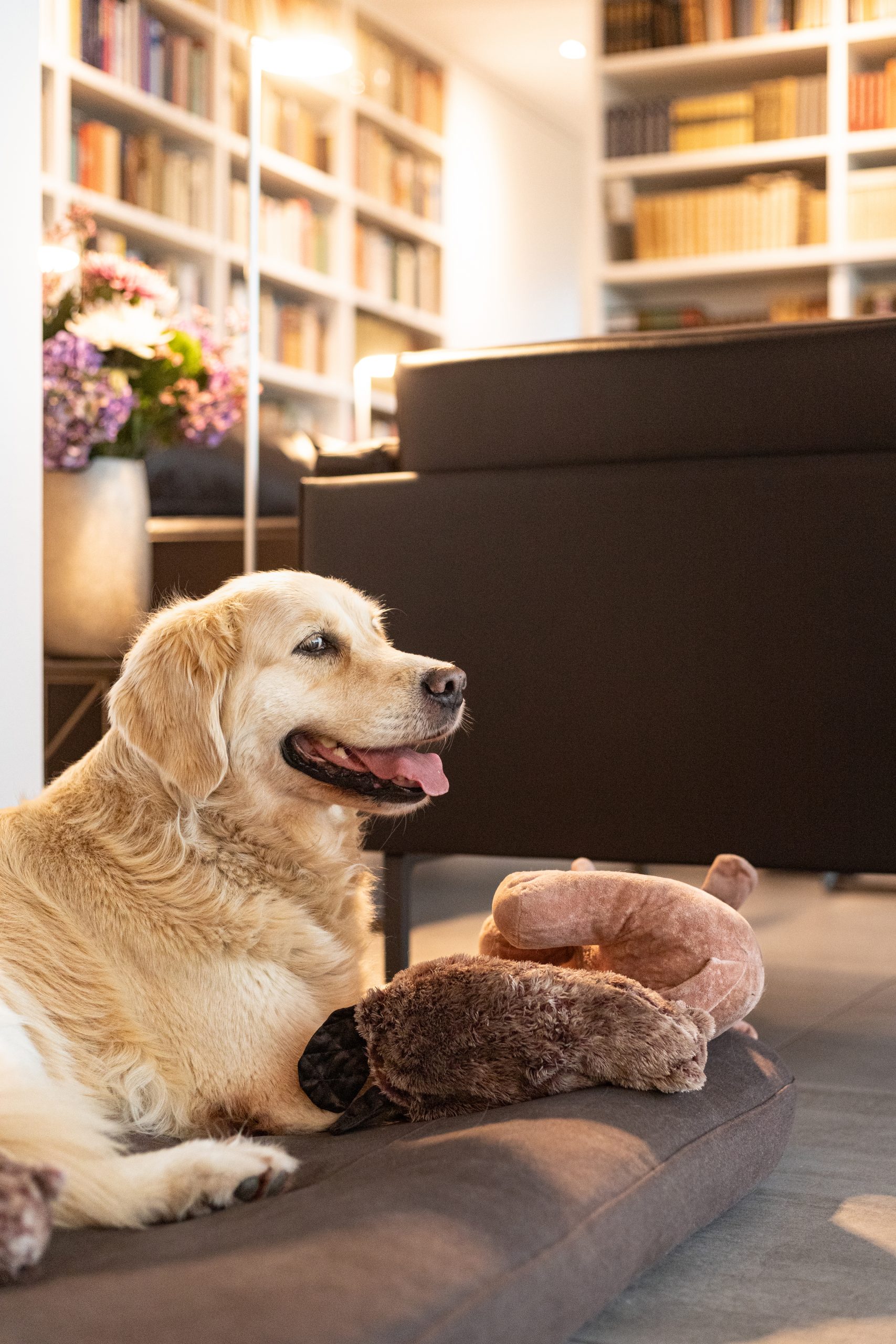 Liebe und Freundschaft