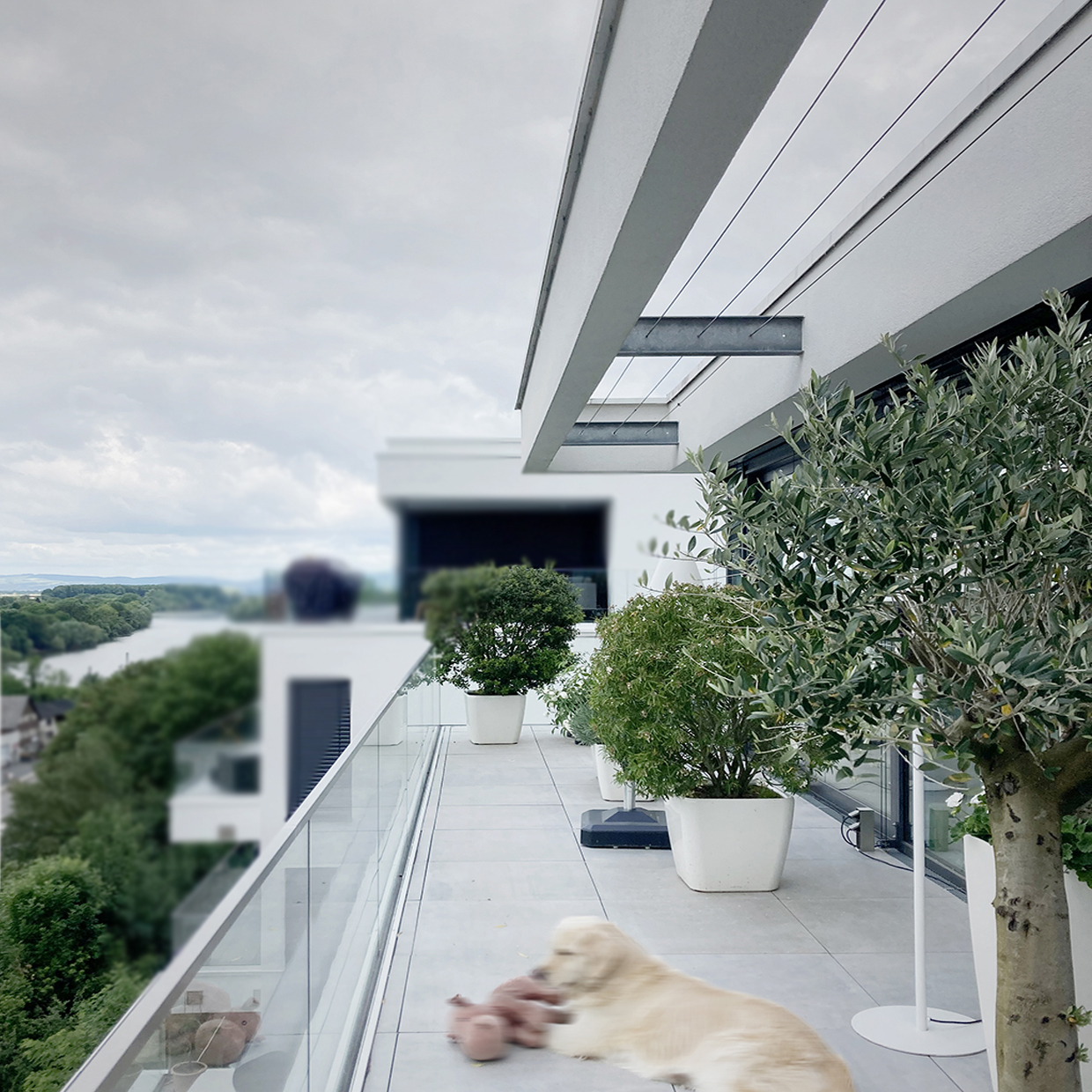 Terrasse mit Glasgelöänder entlang der Südfassade, mit Blick auf den Rhein in Vallendar