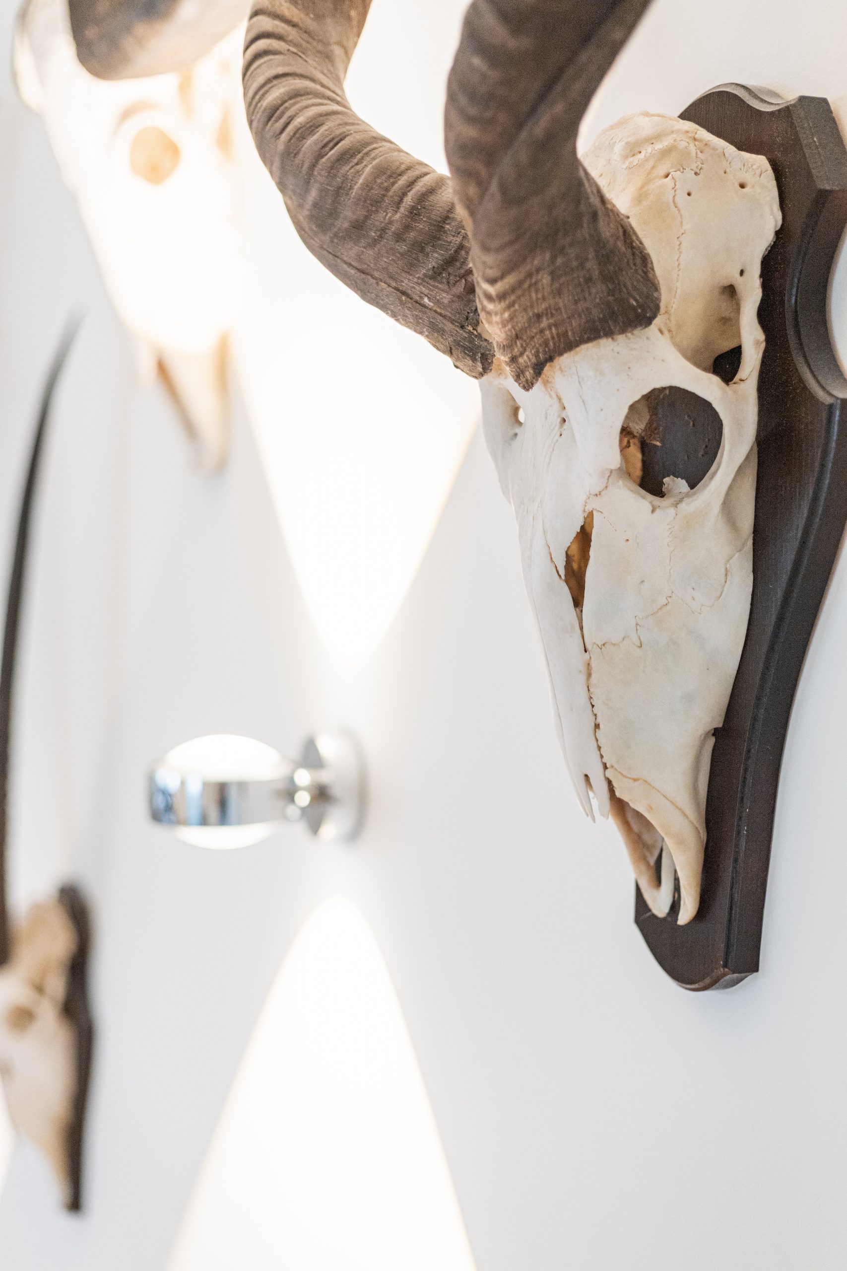 Occhio Sento Wanlampen 